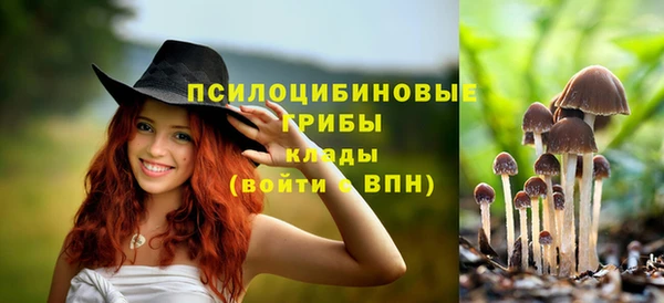 спиды Нефтегорск
