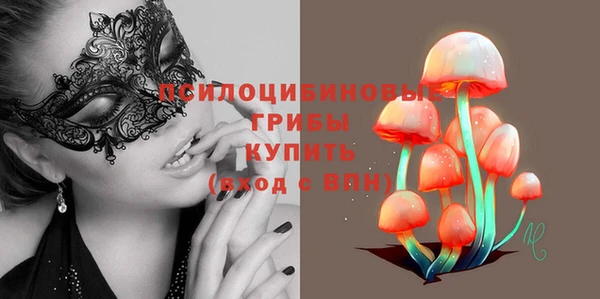 apvp Алзамай