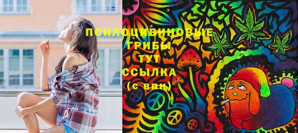 винт Алексин