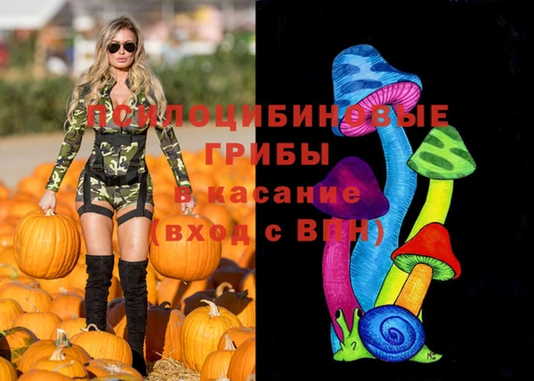 apvp Алзамай