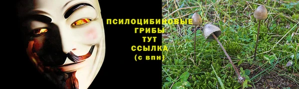 apvp Алзамай