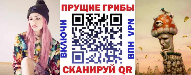где купить   Ставрополь  Галлюциногенные грибы ЛСД 